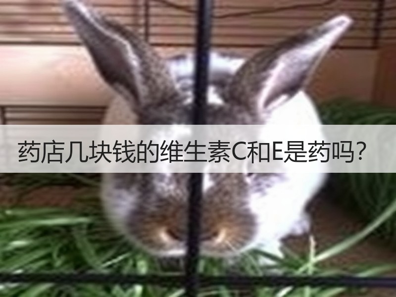 药店几块钱的维生素C和E是药吗？