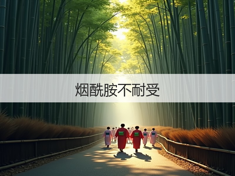 烟酰胺不耐受