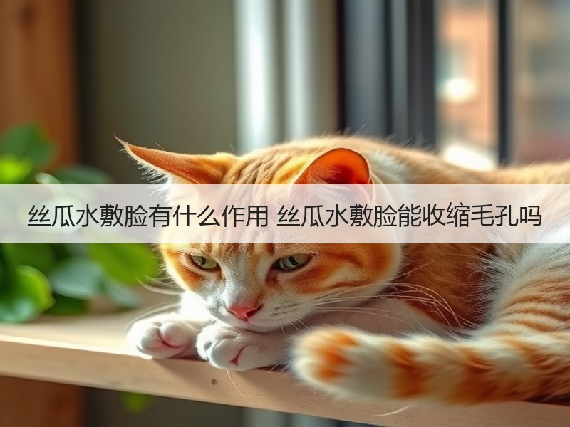 丝瓜水敷脸有什么作用 丝瓜水敷脸能收缩毛