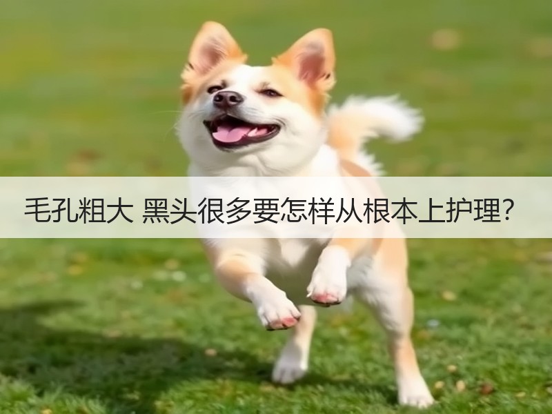 毛孔粗大 黑头很多要怎样从根本上护理？
