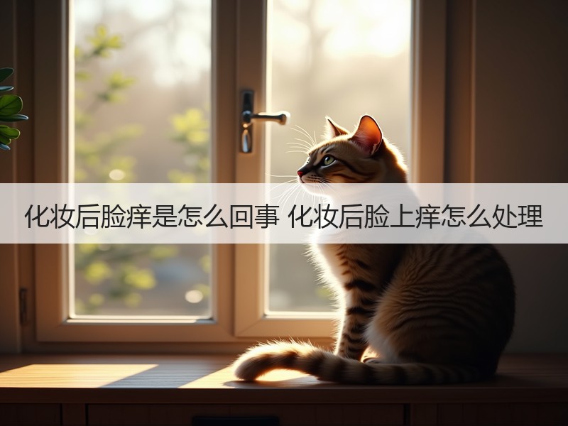 化妆后脸痒是怎么回事 化妆后脸上痒怎么处