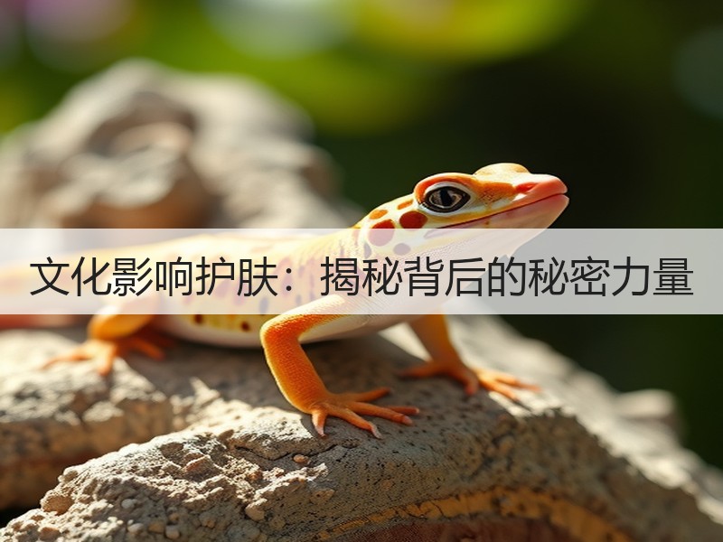 文化影响护肤：揭秘背后的秘密力量