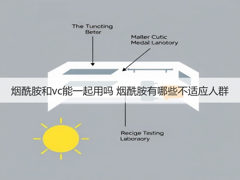 烟酰胺和vc能一起用吗 烟酰胺有哪些不适