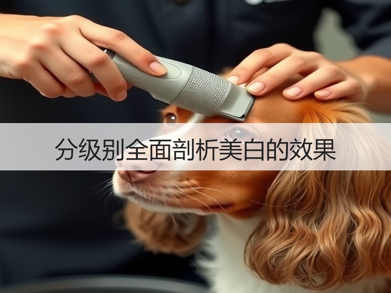 分级别全面剖析美白的效果