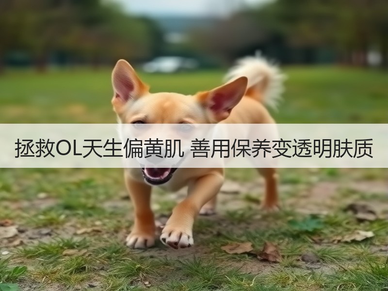 拯救OL天生偏黄肌 善用保养变透明肤质