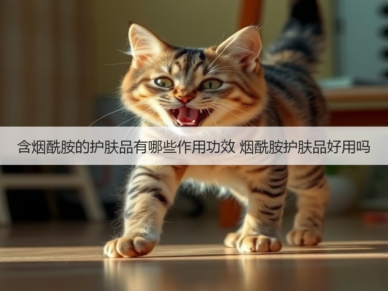 含烟酰胺的护肤品有哪些作用功效 烟酰胺护