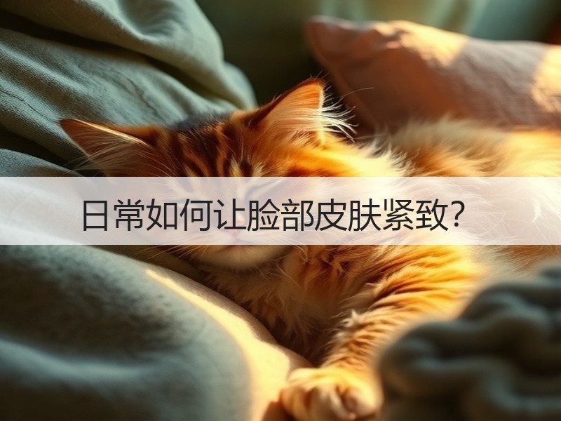 日常如何让脸部皮肤紧致？