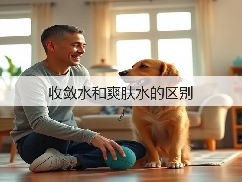 收敛水和爽肤水的区别