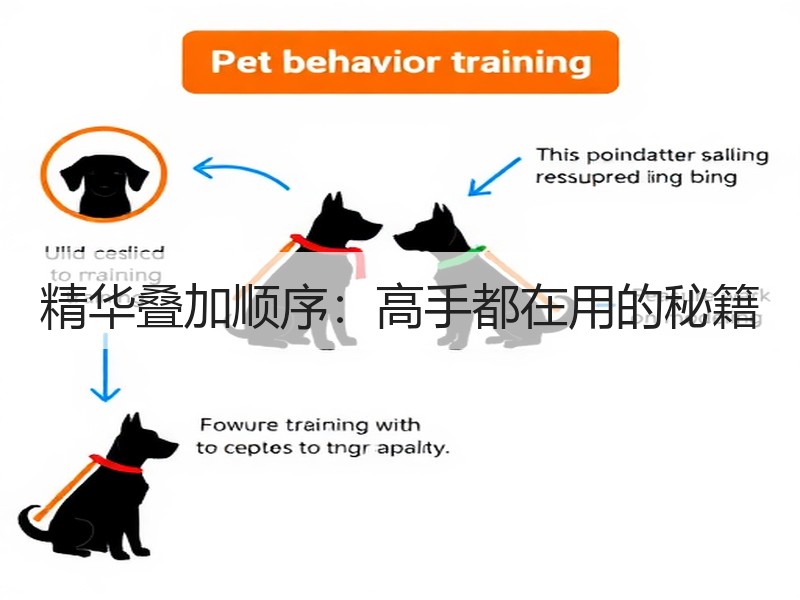 精华叠加顺序：高手都在用的秘籍