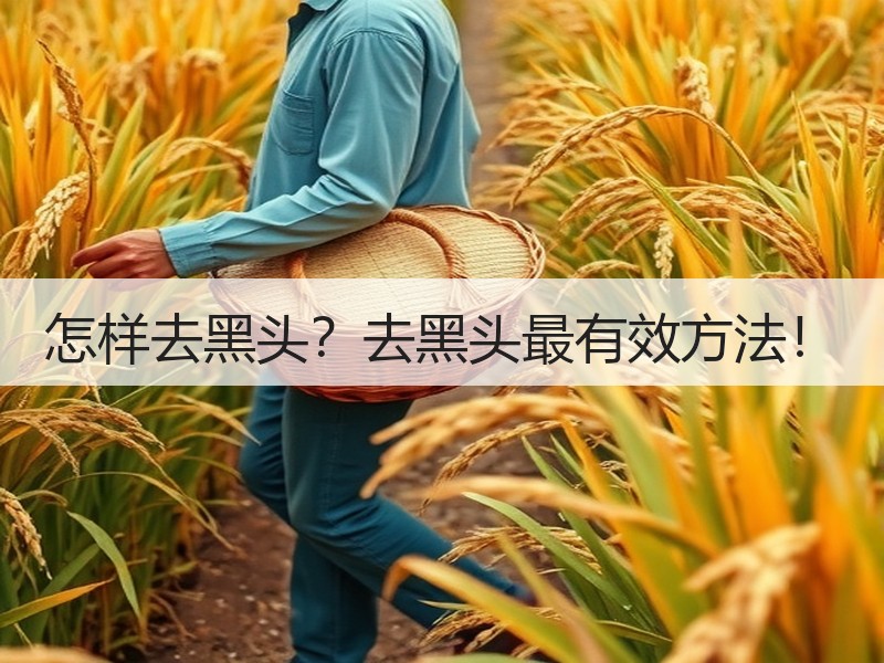 怎样去黑头？去黑头最有效方法！