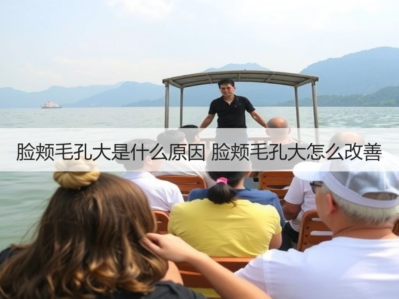 脸颊毛孔大是什么原因 脸颊毛孔大怎么改善