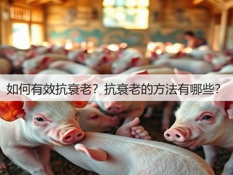 如何有效抗衰老？抗衰老的方法有哪些？