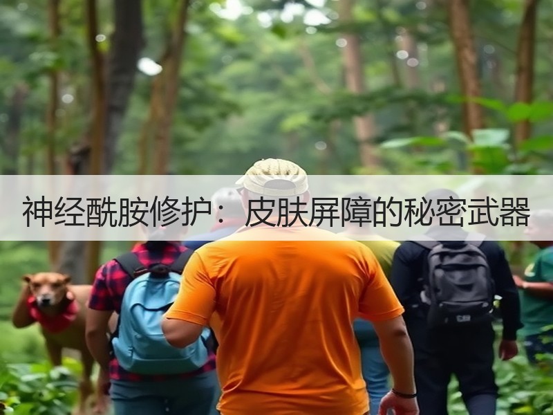 神经酰胺修护：皮肤屏障的秘密武器