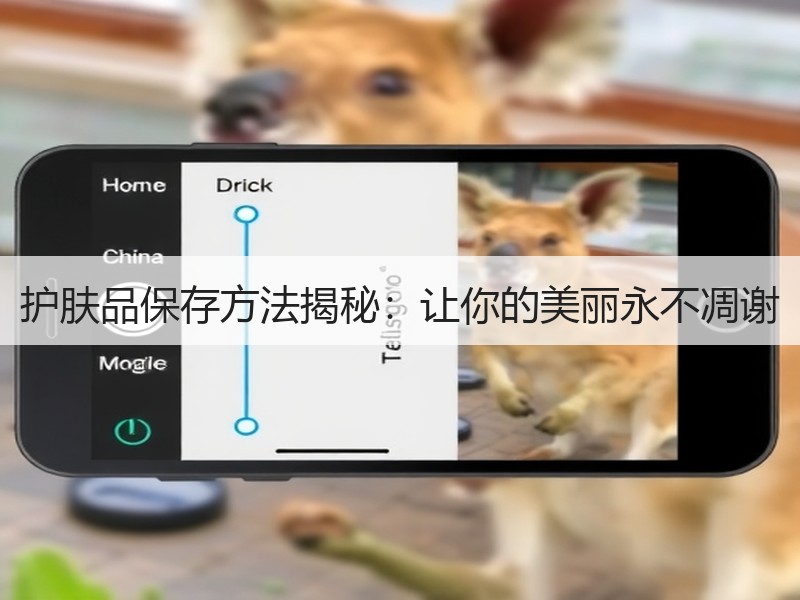 护肤品保存方法揭秘：让你的美丽永不凋谢