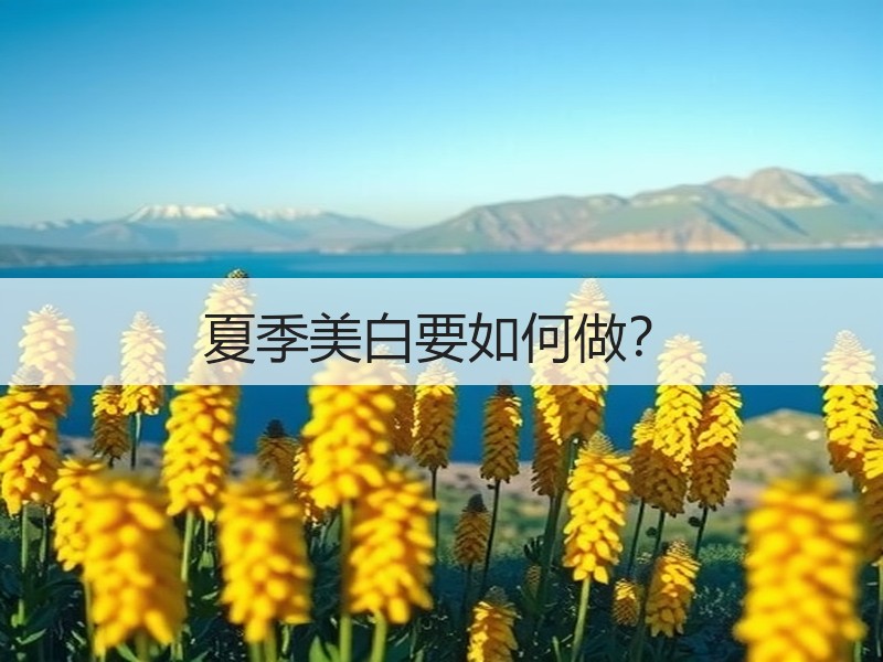 夏季美白要如何做？