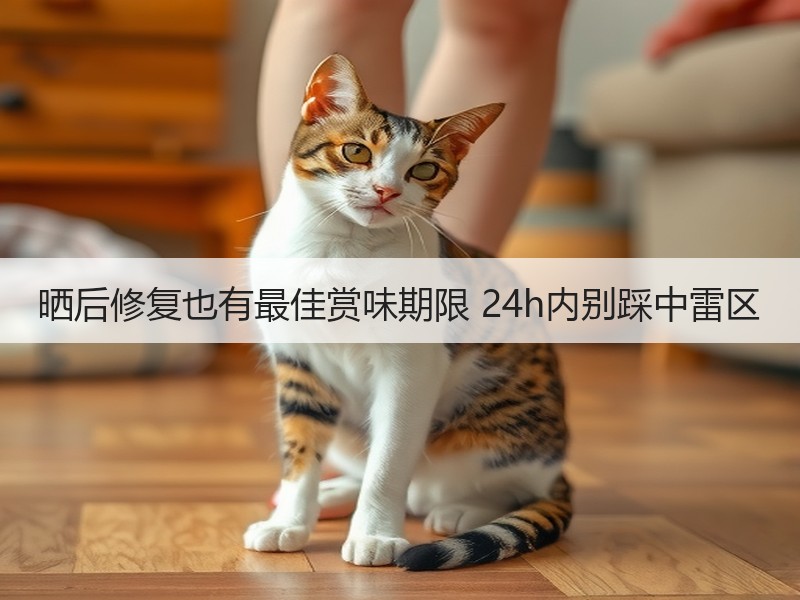 晒后修复也有最佳赏味期限 24h内别踩中