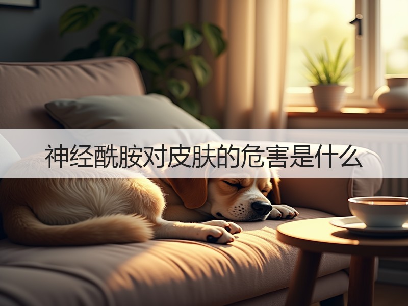 神经酰胺对皮肤的危害是什么