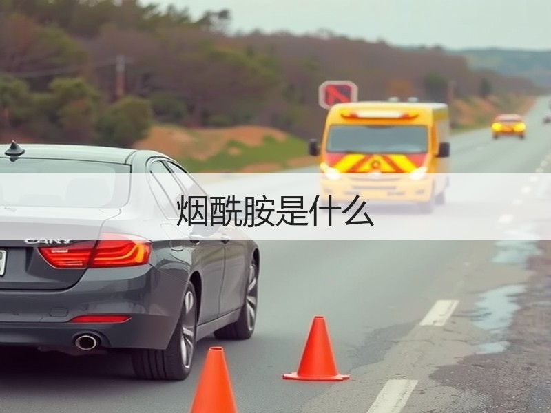 烟酰胺是什么