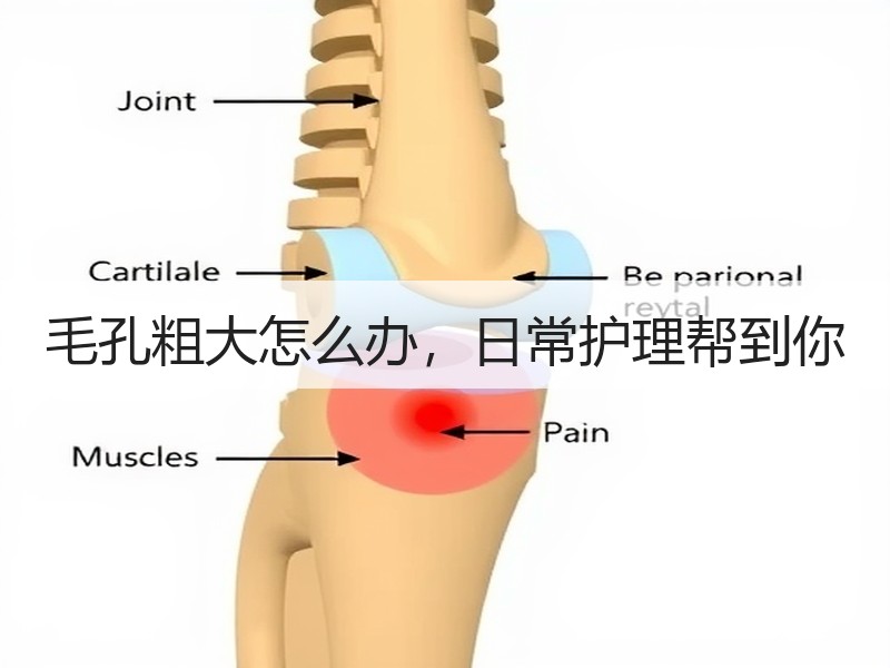 毛孔粗大怎么办，日常护理帮到你