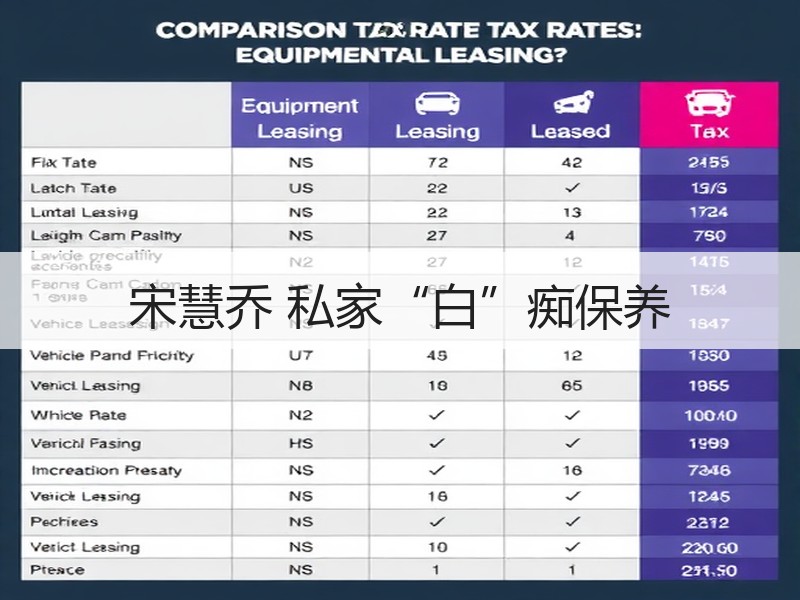 宋慧乔 私家“白”痴保养