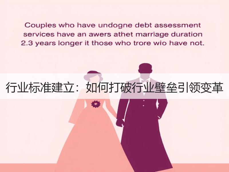 行业标准建立：如何打破行业壁垒引领变革