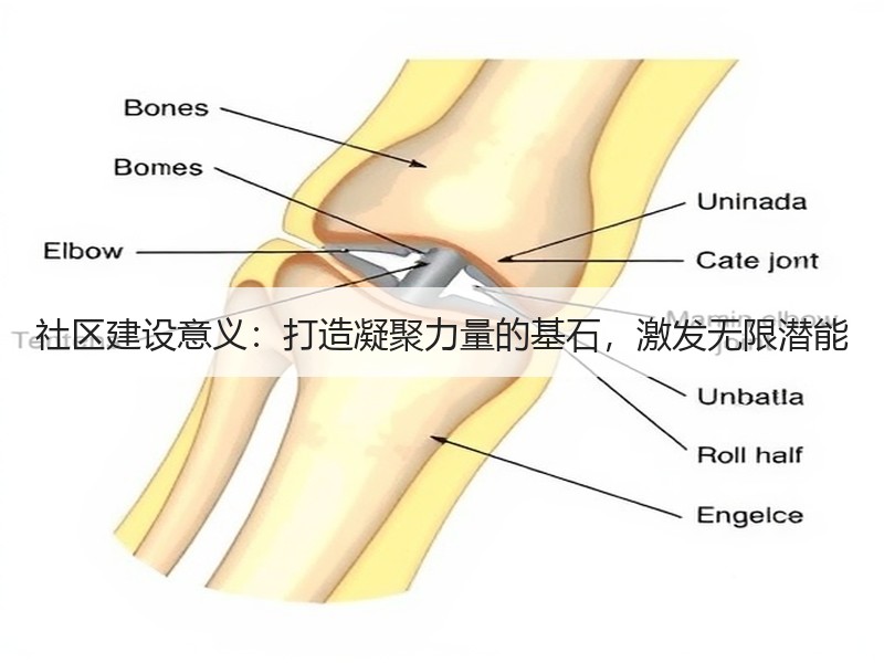 社区建设意义：打造凝聚力量的基石，激发无