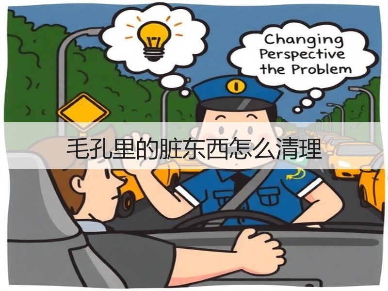毛孔里的脏东西怎么清理