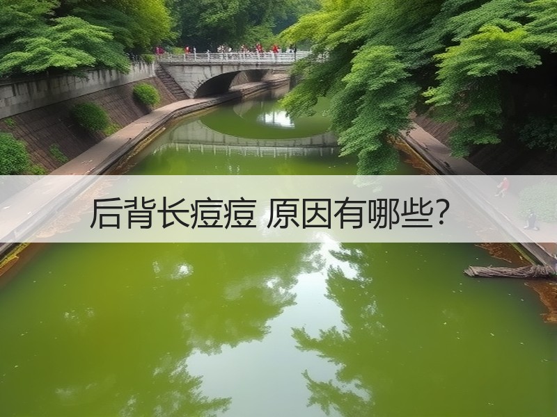 后背长痘痘 原因有哪些？