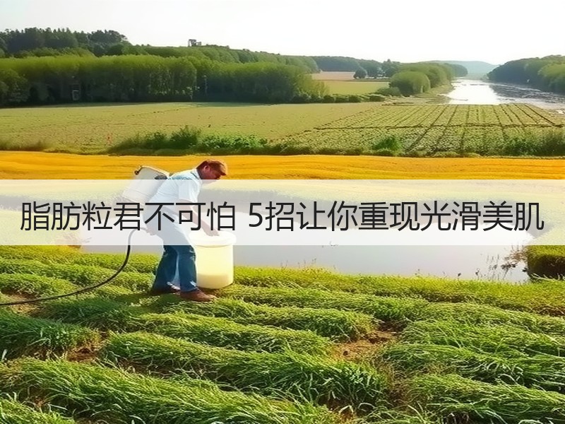 脂肪粒君不可怕 5招让你重现光滑美肌