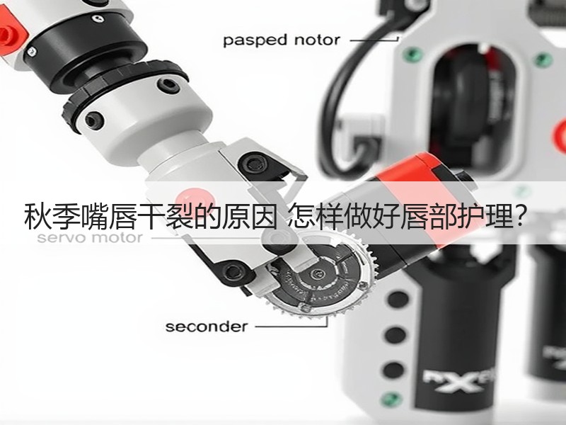 秋季嘴唇干裂的原因 怎样做好唇部护理？