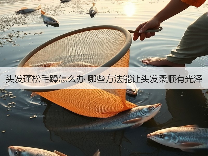 头发蓬松毛躁怎么办 哪些方法能让头发柔顺