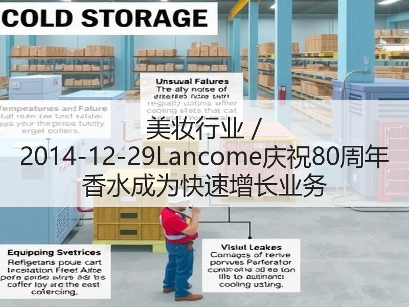 美妆行业 / 2014-12-29Lan