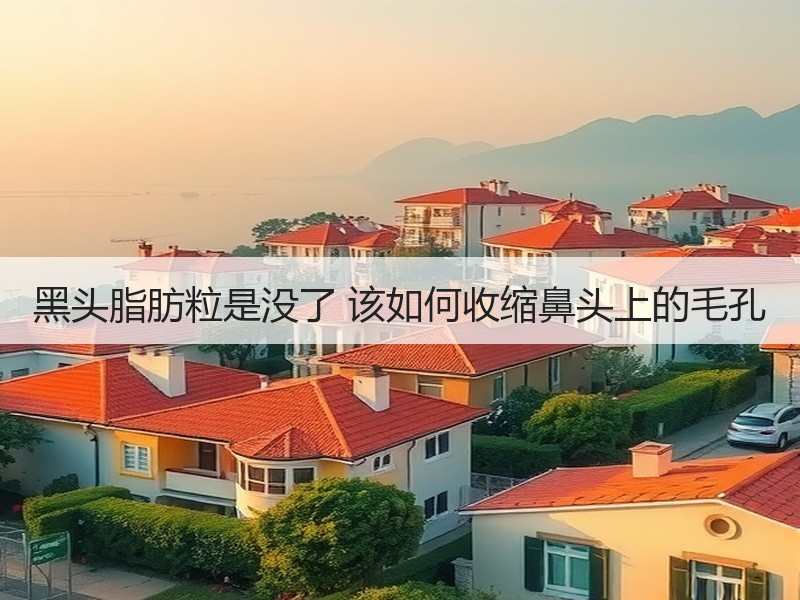 黑头脂肪粒是没了 该如何收缩鼻头上的毛孔